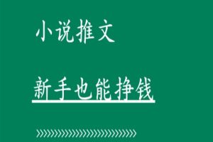 小说推文全新自撸玩法，不看播放量，不看视频质量，每天500+