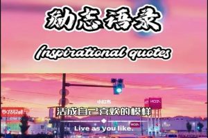 视频号励志语录正能量励志语录受众群体更加广泛