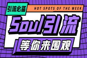 最新Soul全自动引流全类私域粉丝脚本，可根据关键词筛选精准用户日引100＋【引流脚本+使用教程】