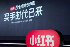 小 红 书 买手实战课：从零起步，掌握选品技巧，打造职业博主变现之路