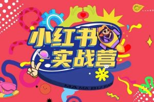 小红书实战营深度解析从方案策划到执行落地