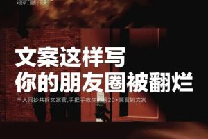朋友圈策略文案撰写粉丝运营实操