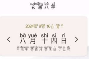 玄通八字  专业的八字算命软件