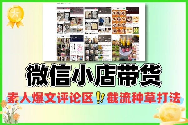 微信小店全域IP带货解析